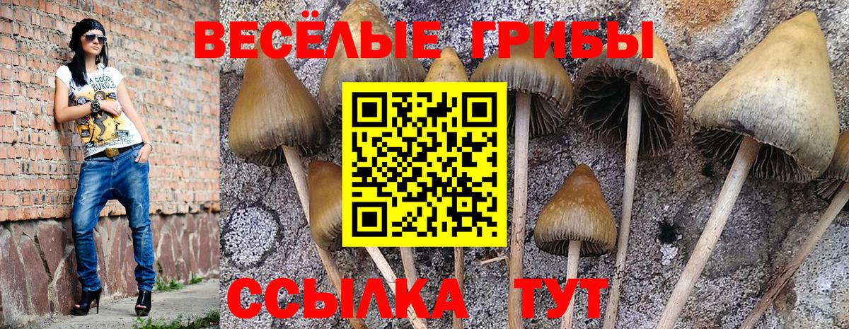 Галлюциногенные грибы MAGIC MUSHROOMS Нововоронеж