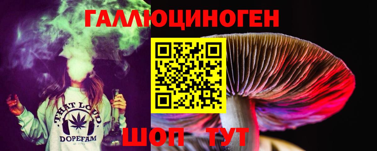 где купить наркоту  Галлюциногенные грибы прущие грибы  Нововоронеж  Вход с VPN  Галлюциногенные грибы прущие грибы 
